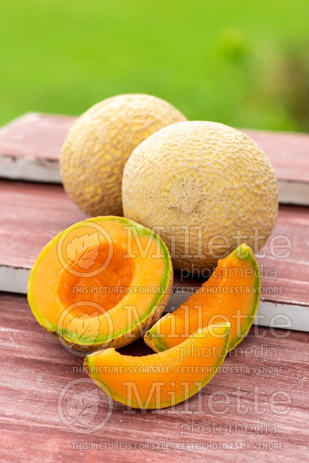 Cucumis Mini-Honeydew (cantaloupe Muskmelon) 3
