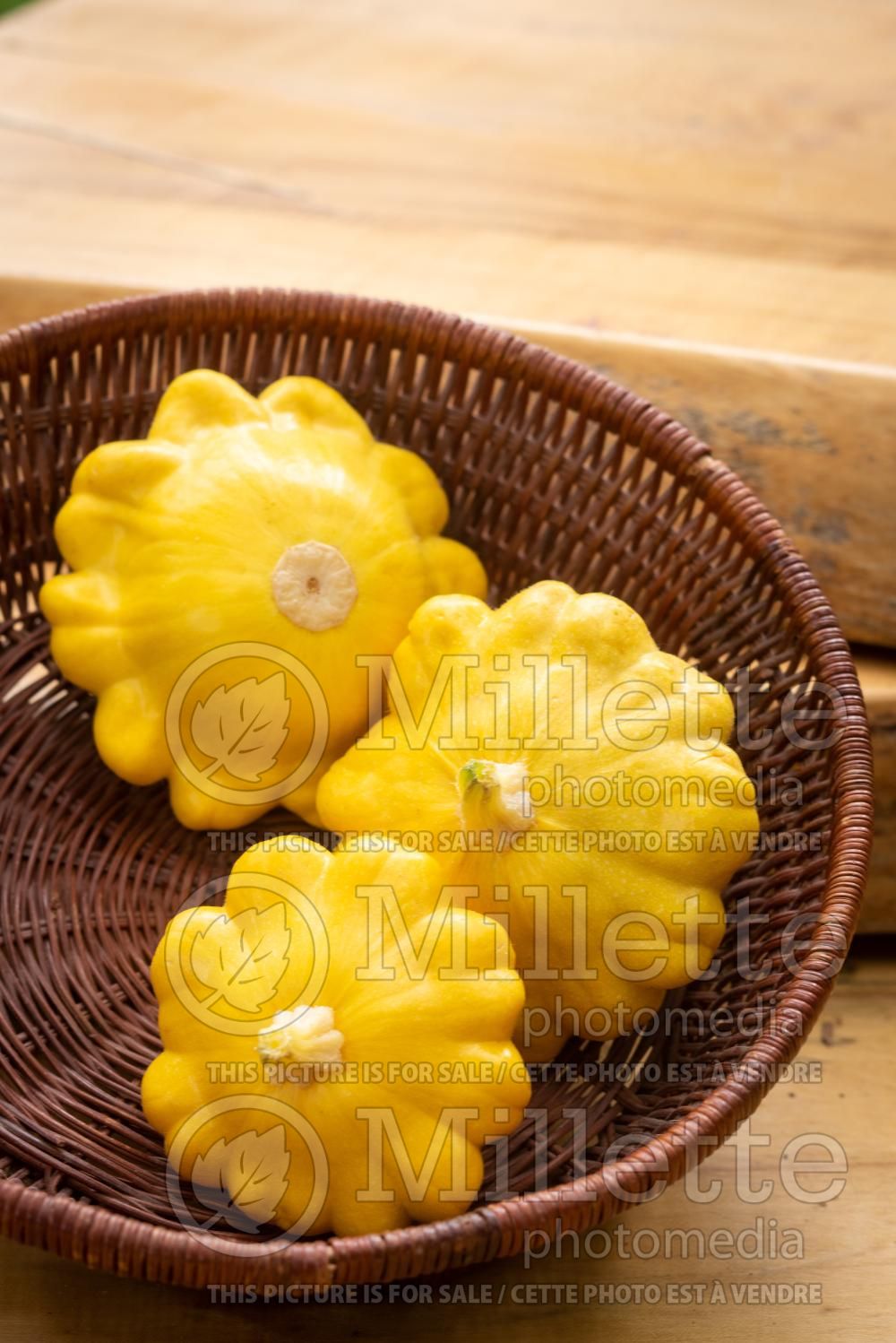 Cucurbita Gagat (pattypan squash or scallop squash) 5