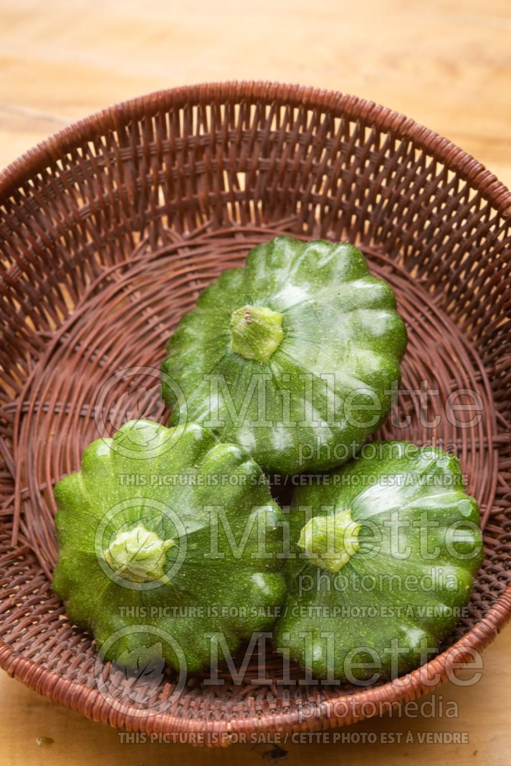 Cucurbita Gagat (pattypan squash or scallop squash) 2