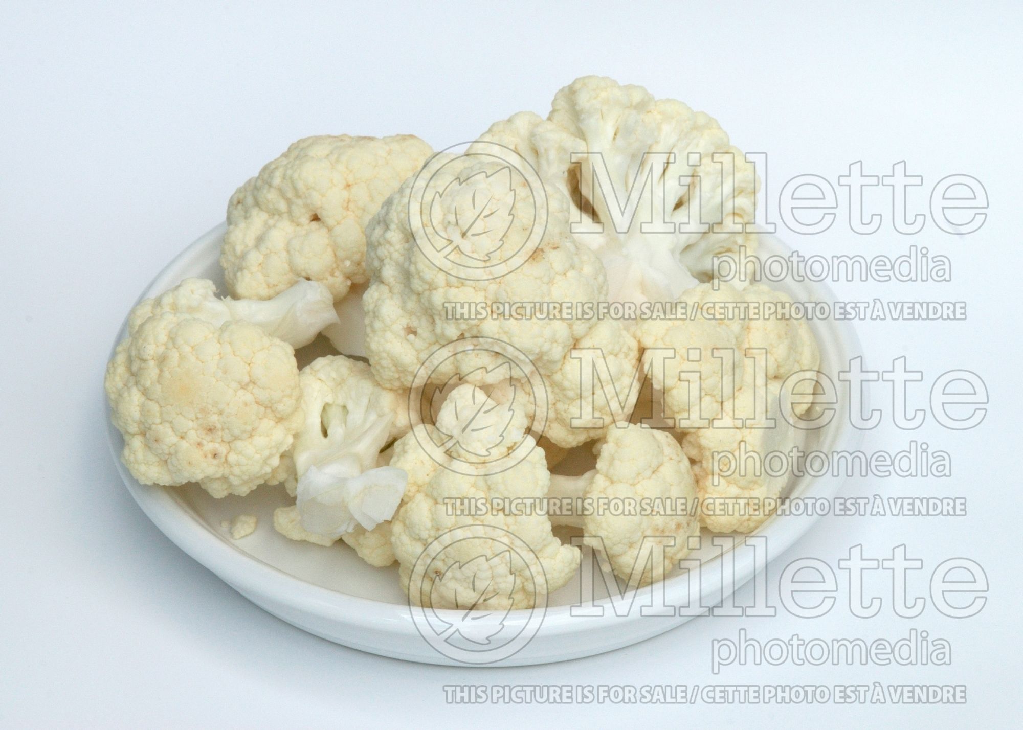 Brassica oleracea var. botrytris (Cauliflower vegetable – chou fleur) 6