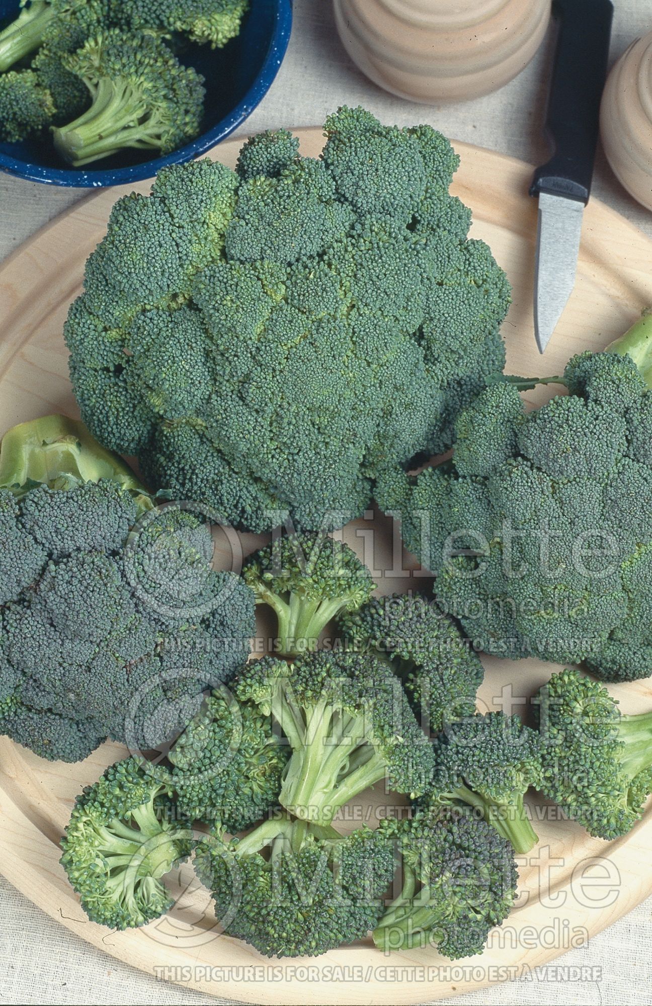 Brassica oleracea var. italica (Broccoli vegetable) 4