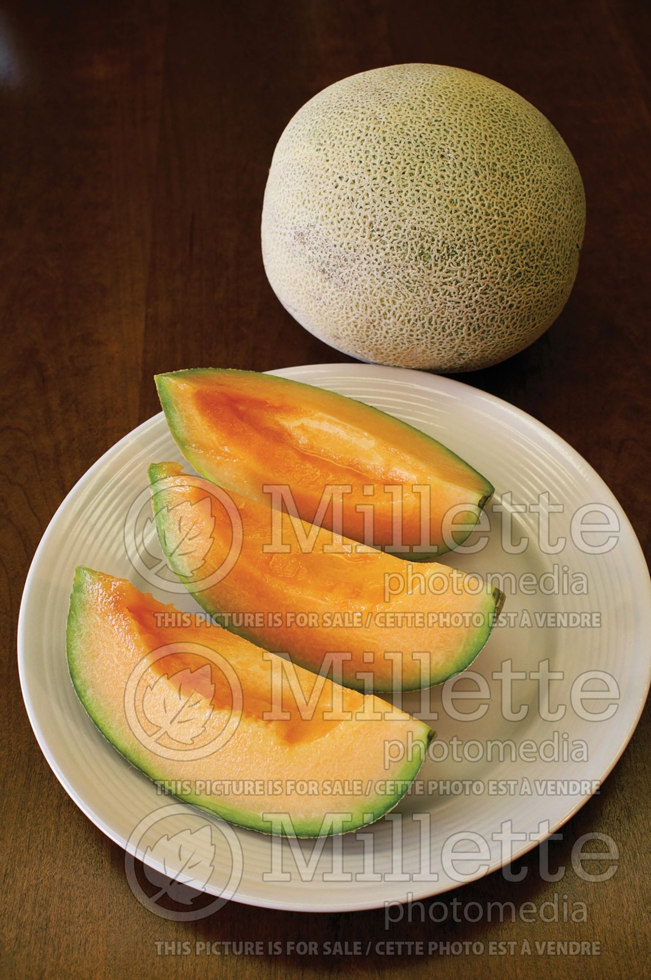 Cucumis melo var. cantalupensis (cantaloupe, Muskmelon) 3