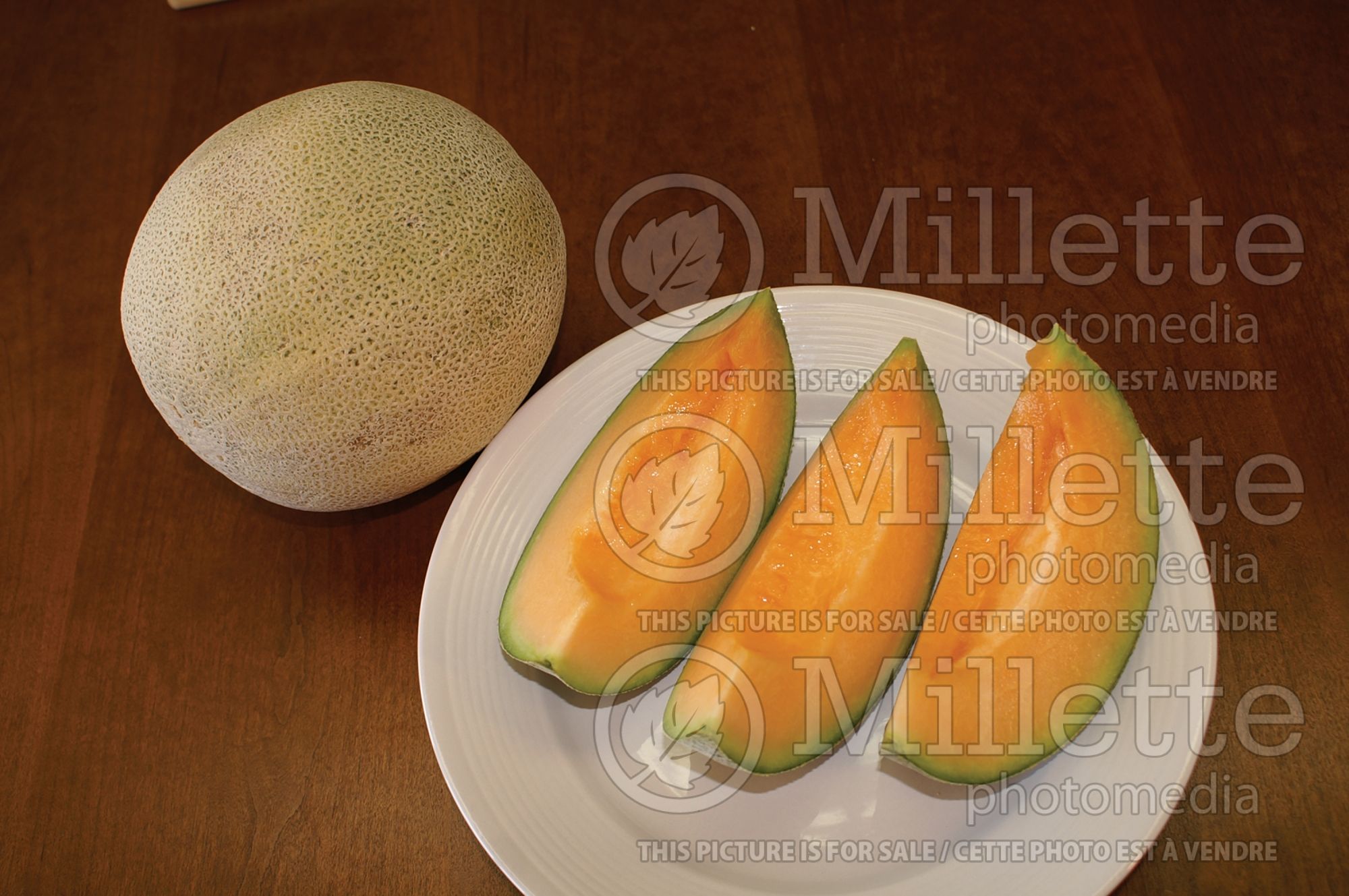 Cucumis melo (cantaloupe, Muskmelon) 4