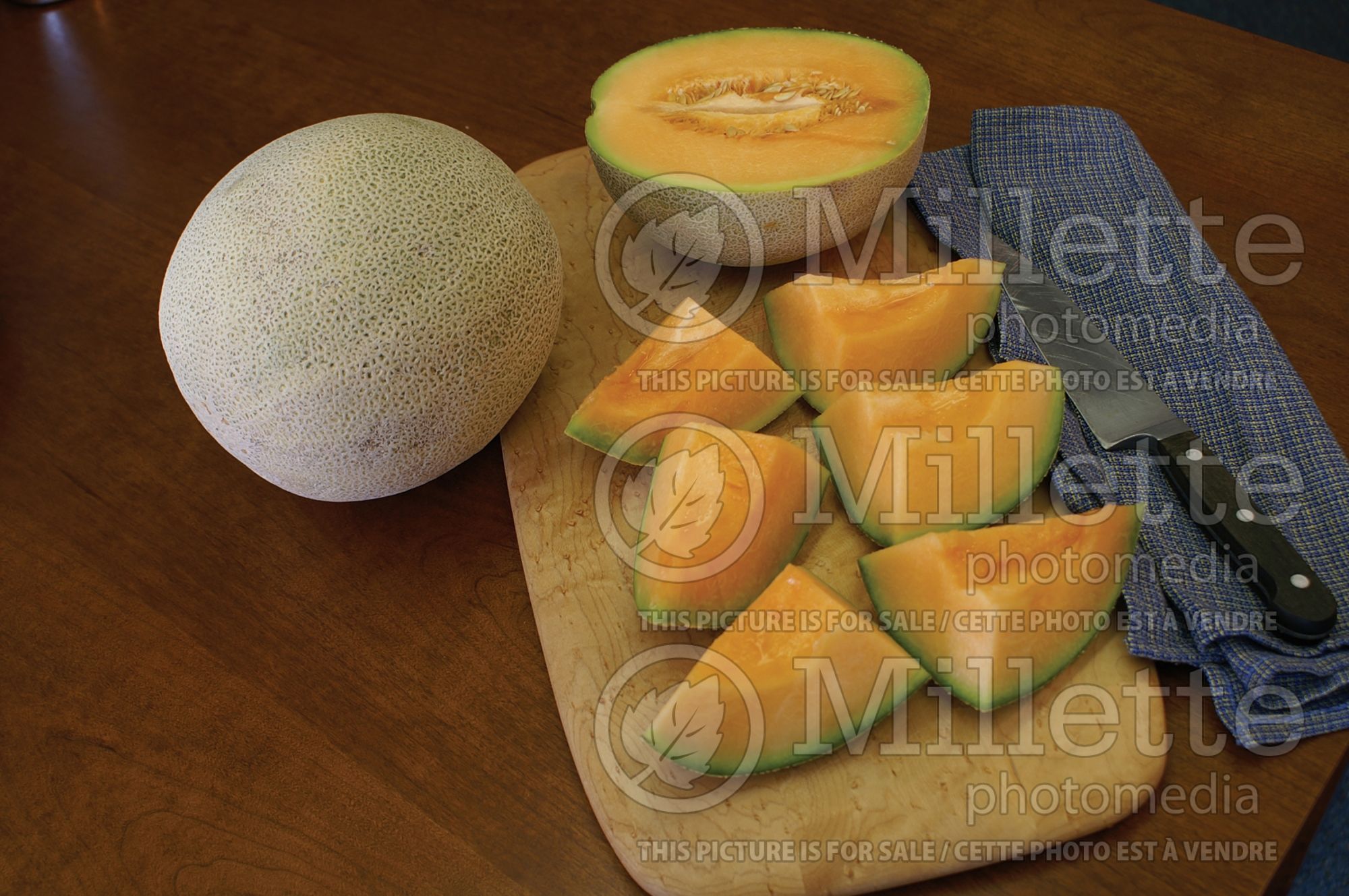 Cucumis melo (cantaloupe, Muskmelon) 3