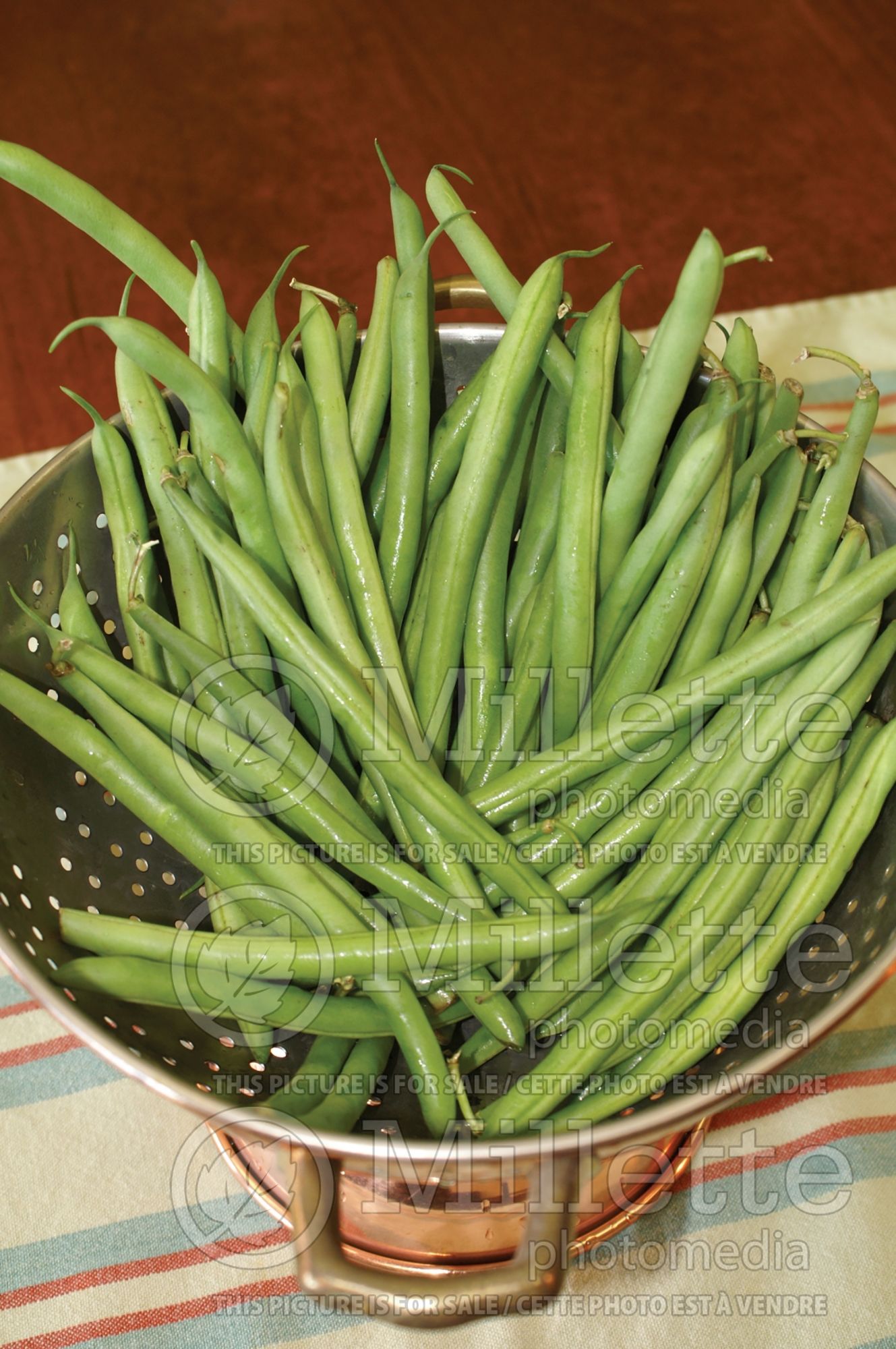 Phaseolus coccineus (Green beans vegetable - haricots) 5