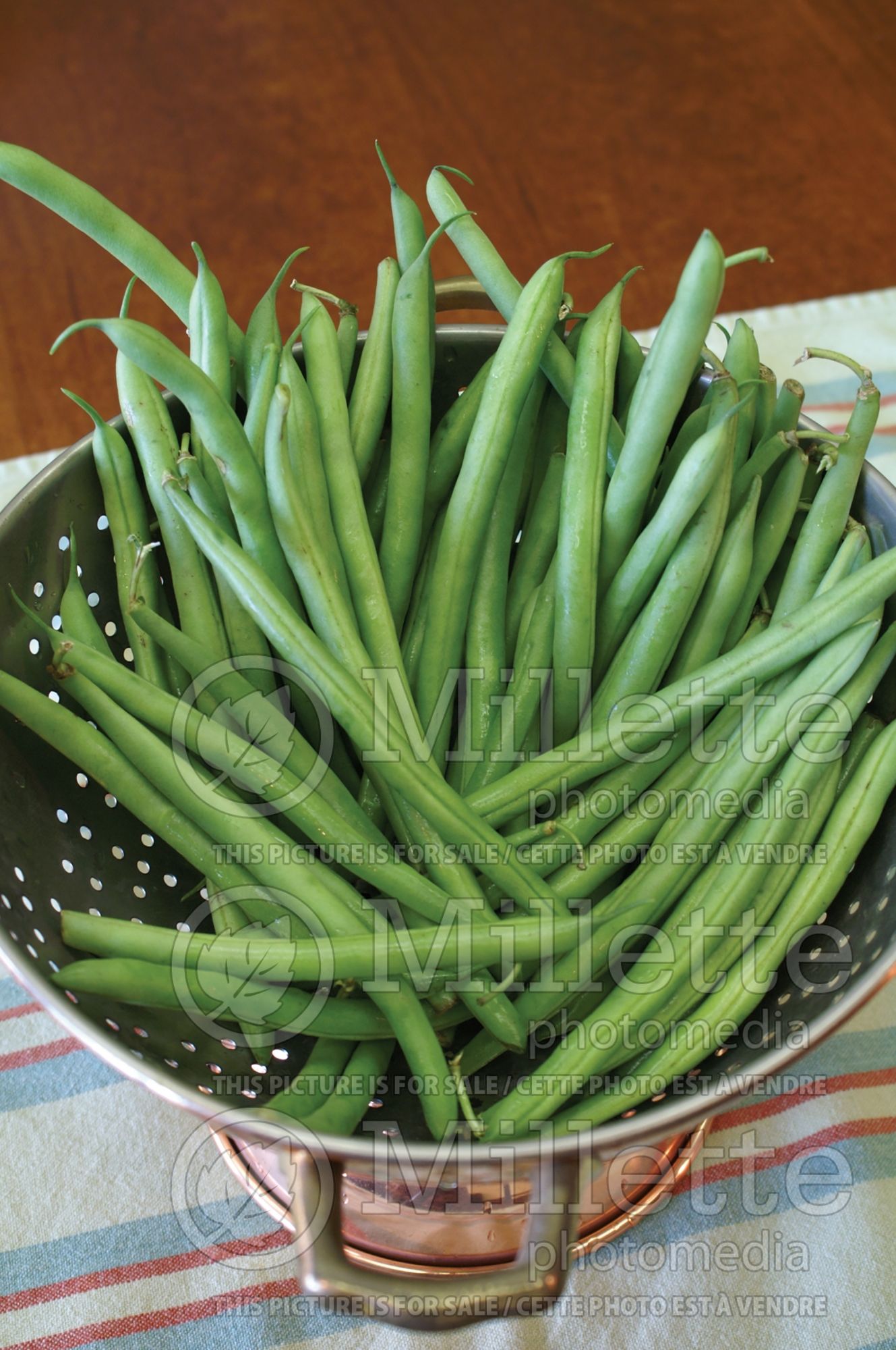 Phaseolus coccineus (Green beans vegetable - haricots) 6