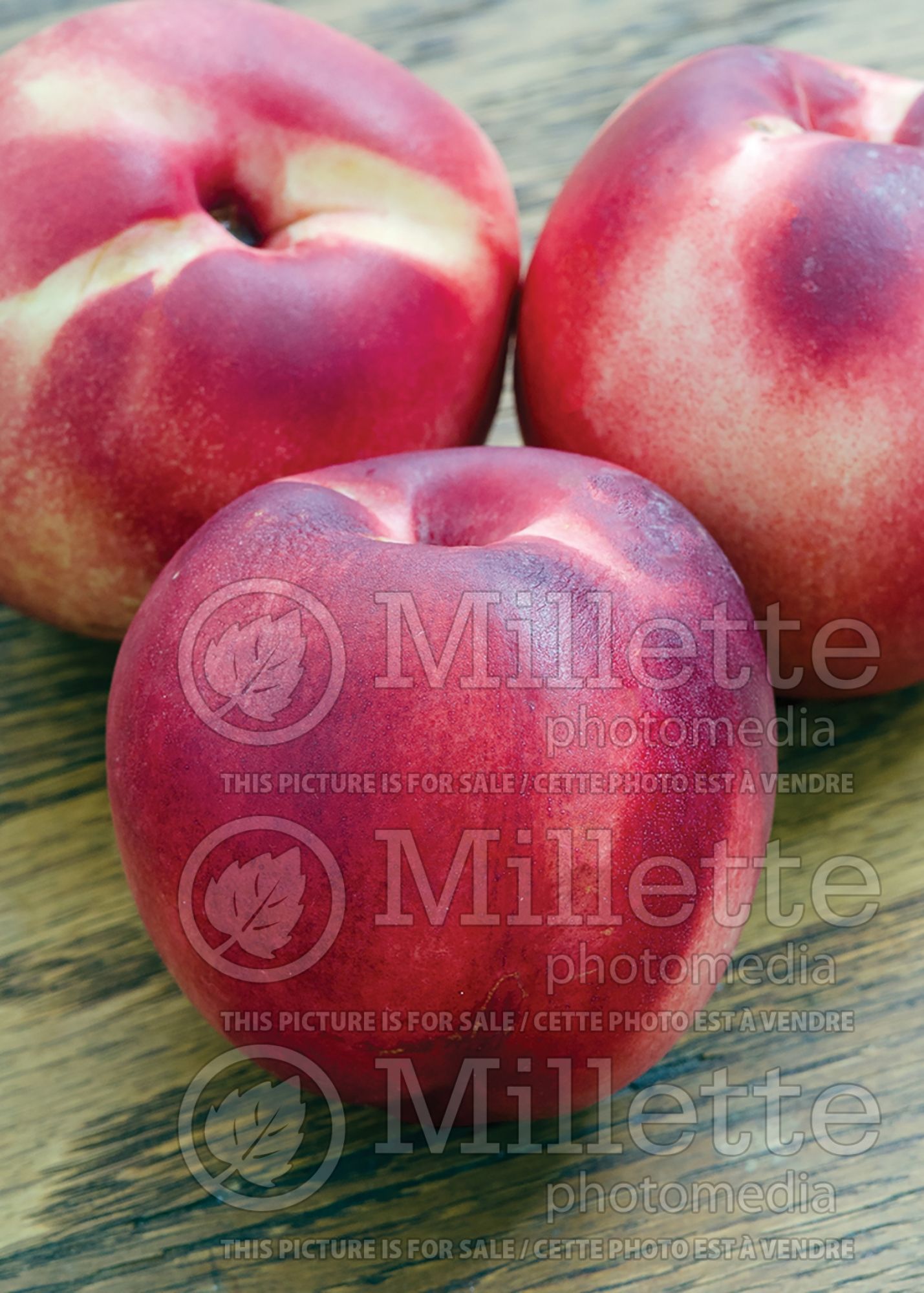 Prunus Flavortop (peach-nectarine) 1