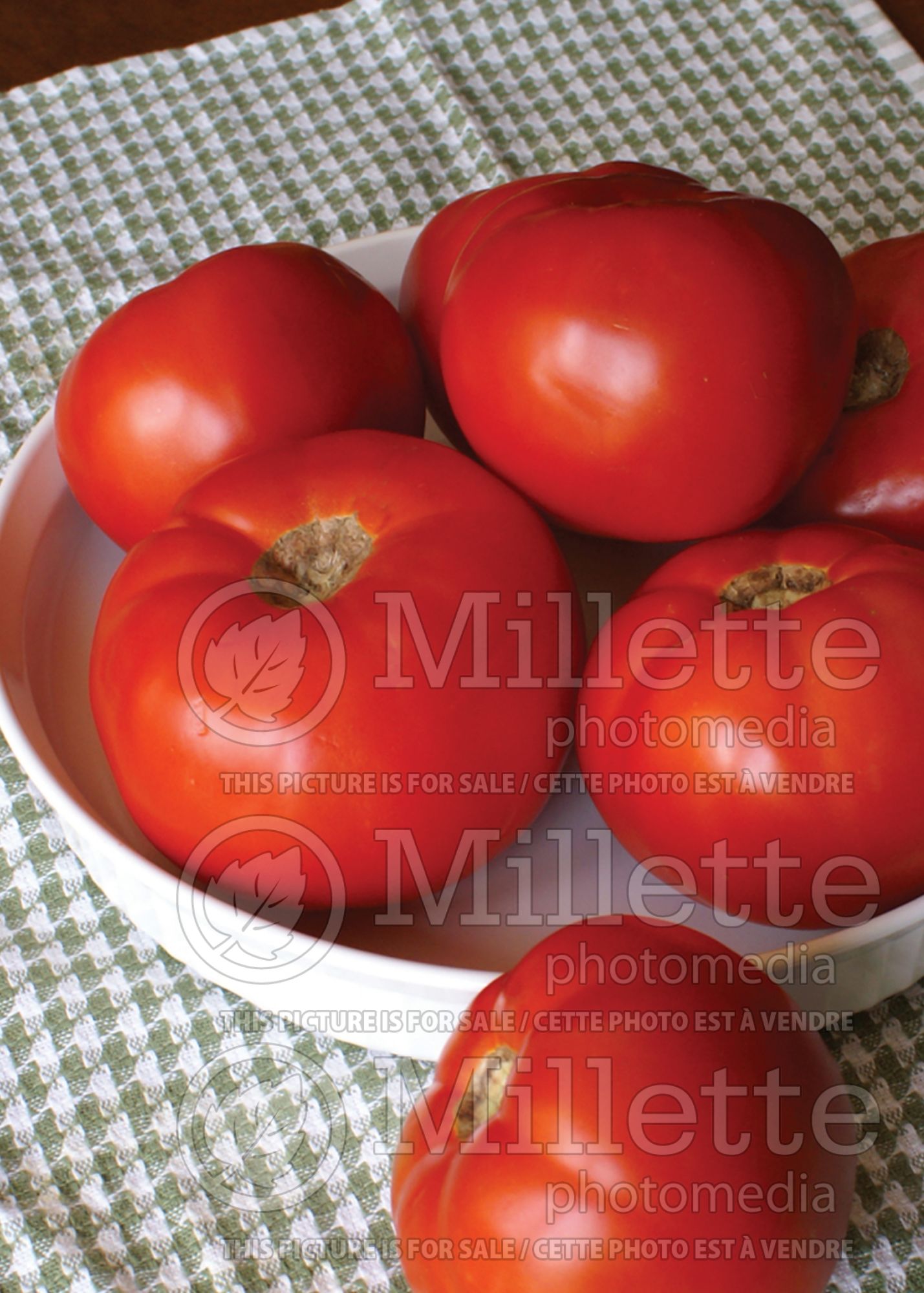 Solanum Rutgers (Tomato vegetable) 1