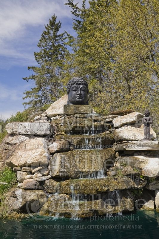 A large sculptured head sits on top of a waterfall - pond 1