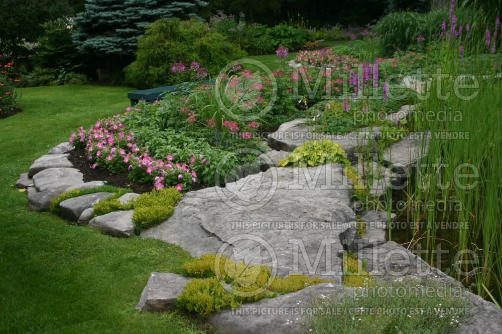 Garden landscaping on a rock garden around a pond 26