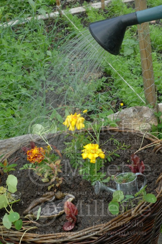 Watering like rain in the garden - garden works 1