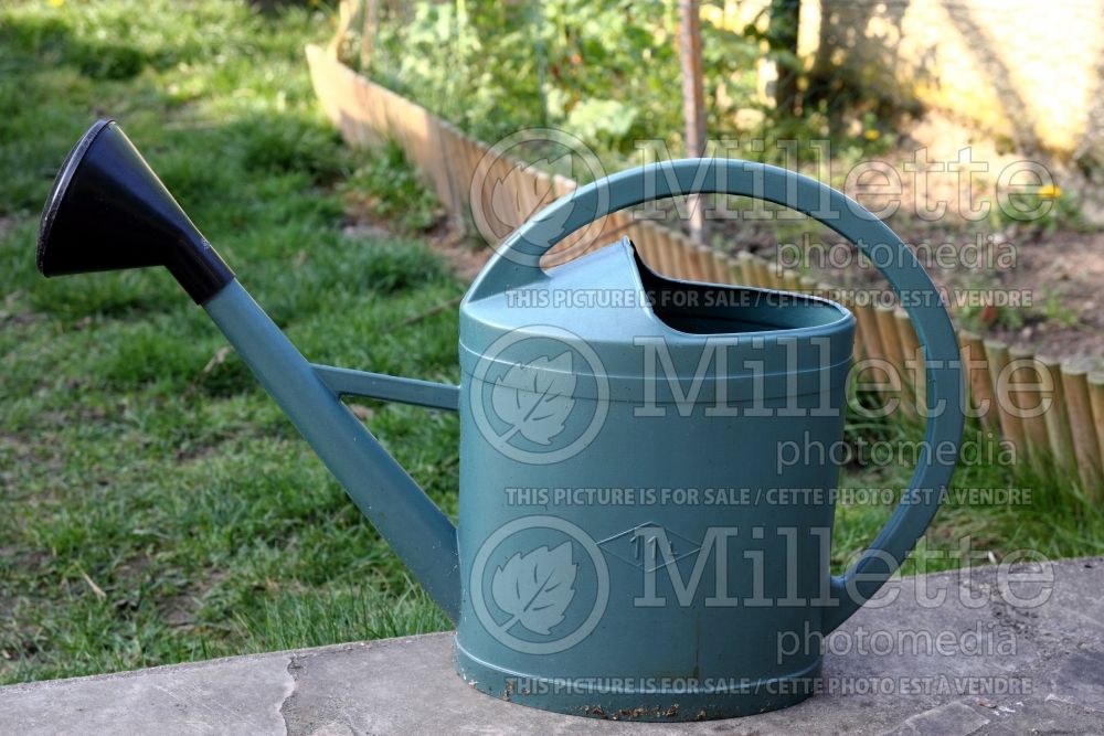 Watering Can (Garden Tool) 3