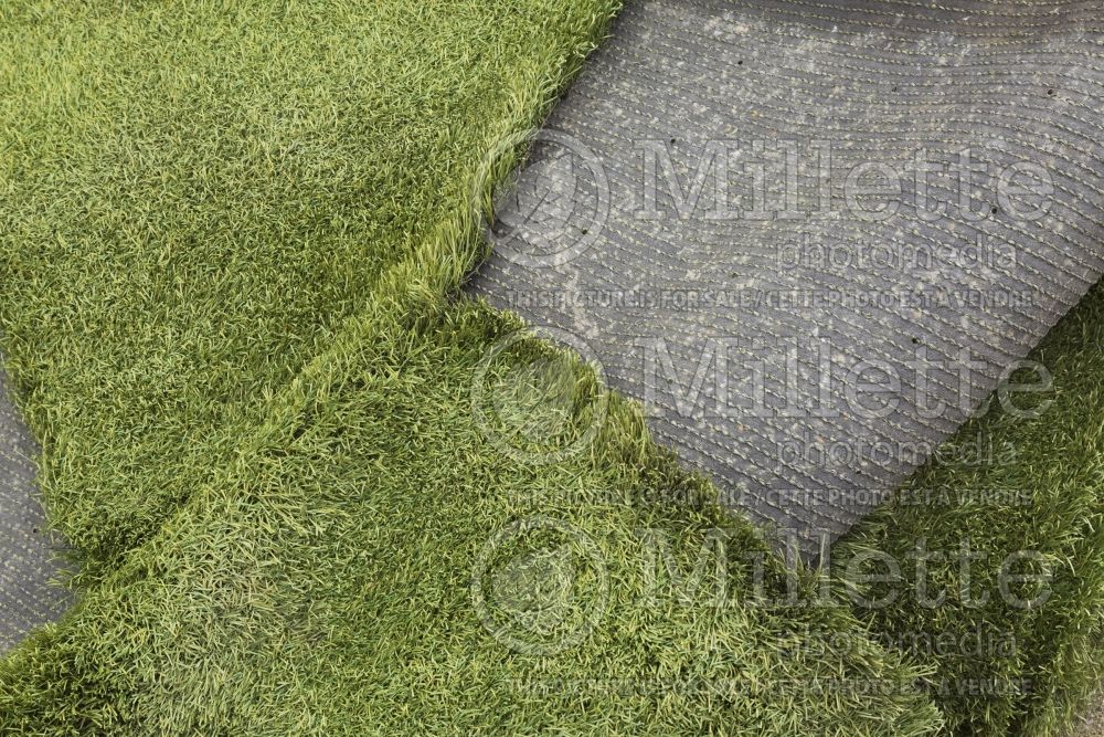 Artificial turf mats with black rubber backing  1