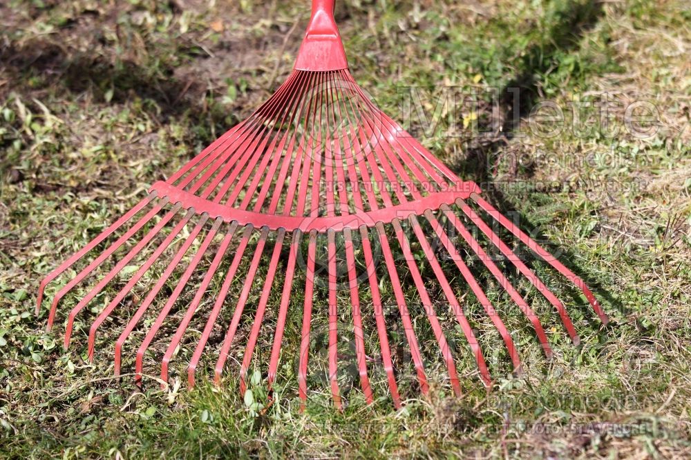 Leaf rake (Garden Tool) 6