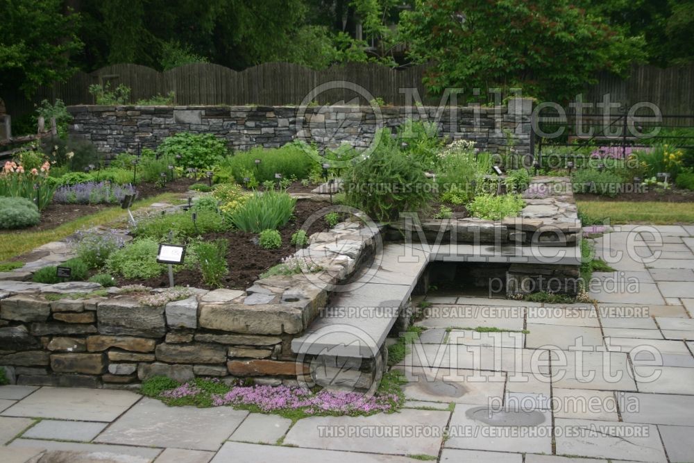 Garden landscaping - bench 12