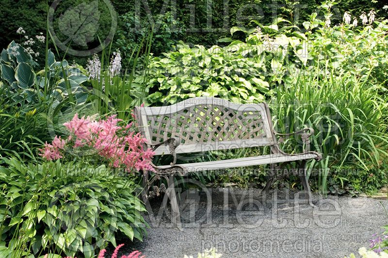 Provide a seating area in the garden - bench (Garden accents and garden designs) 9  