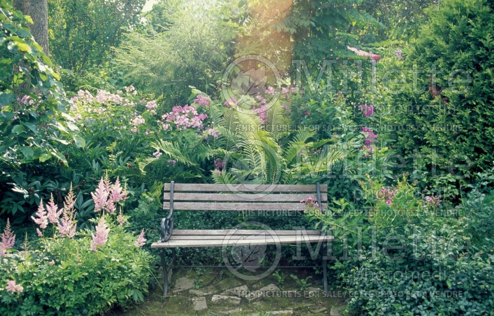 Provide a seating area in the garden - bench (Garden accents and garden designs) 10  