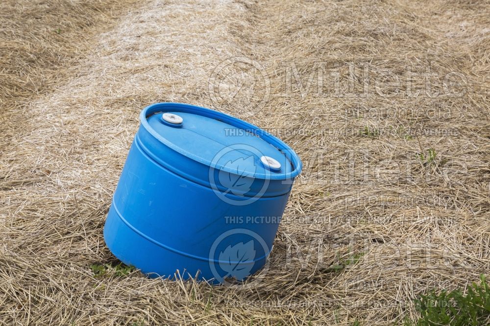 Blue plastic rain barrel in garden plot 1