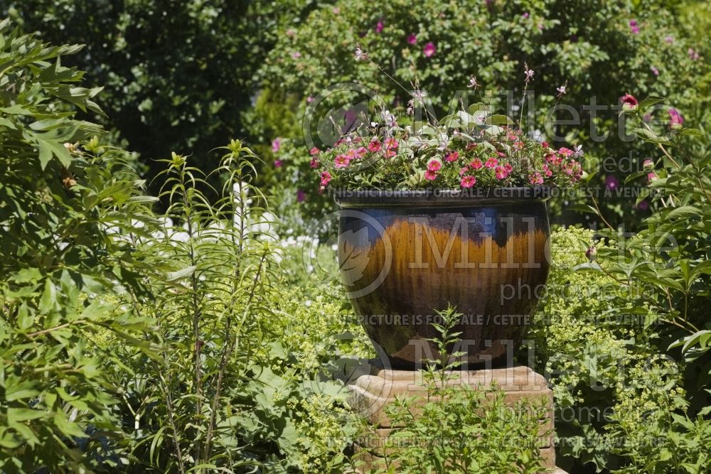 Ceramic planter on a pedestal (ornament) 1 