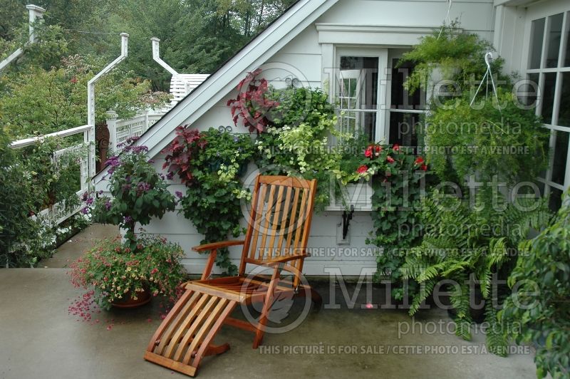 Provide a seating area in the garden - bench (Garden accents and garden designs) 21  