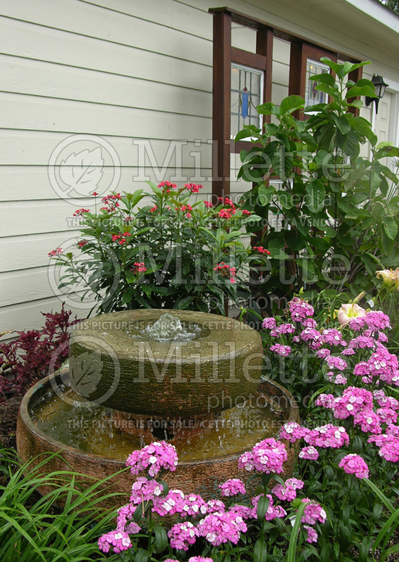 Water fountain in the middle of a flower bed (Landscaping) 1