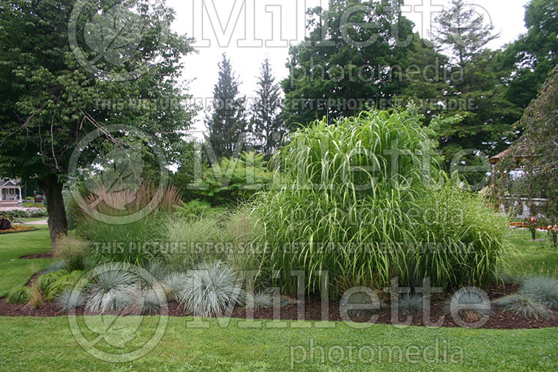 Garden landscaping  49