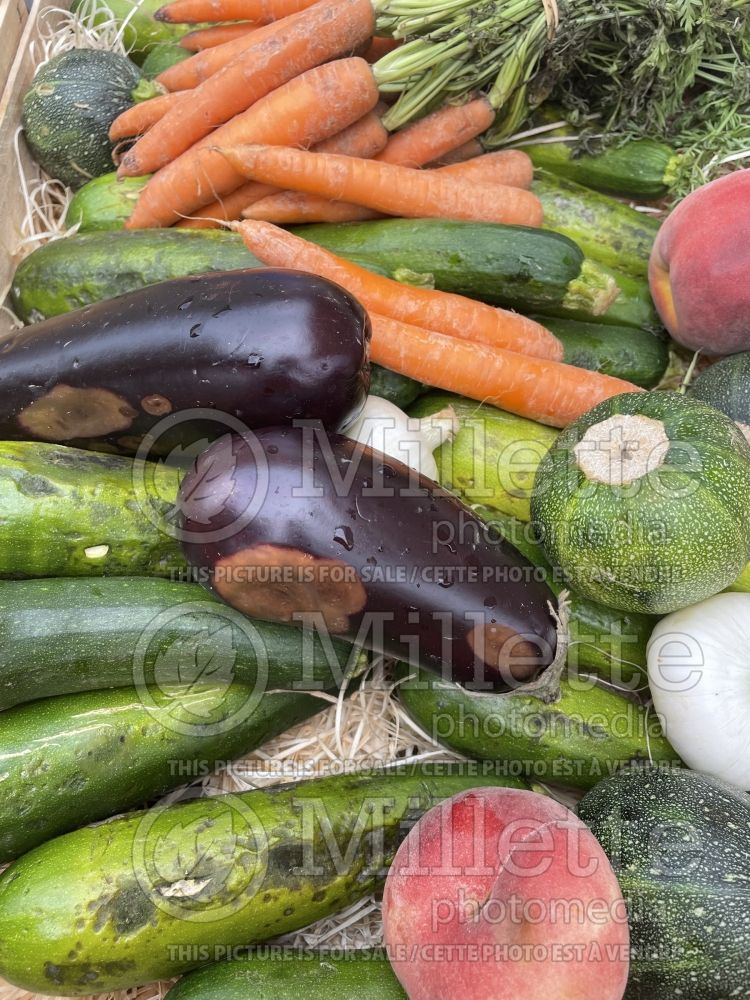 Mixed vegetables (vegetables) 21