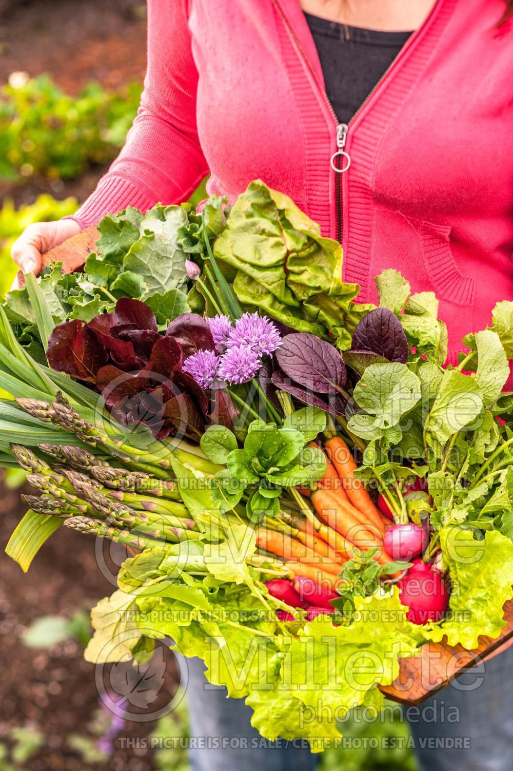 Mixed vegetables (vegetables) 15