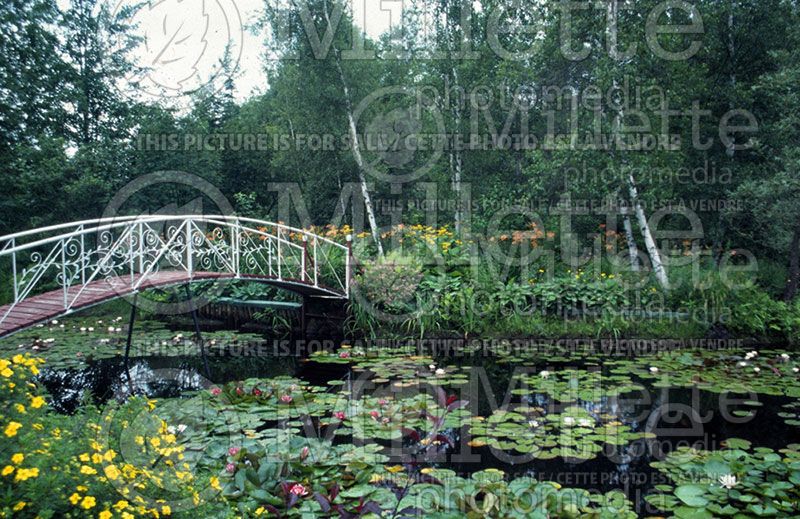 Garden landscaping - bridge 10