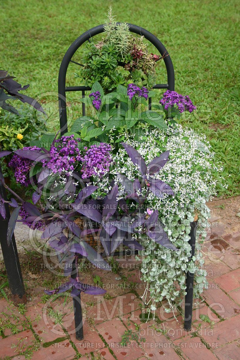 Garden landscaping - bench 4