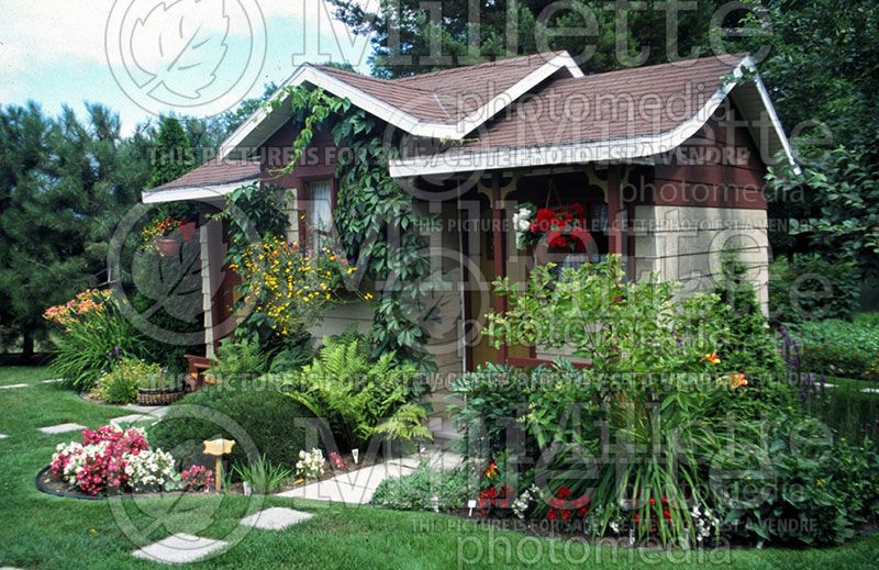 Garden landscaping - garden shed 7