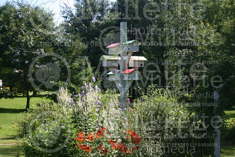 Garden landscaping - bird house 6