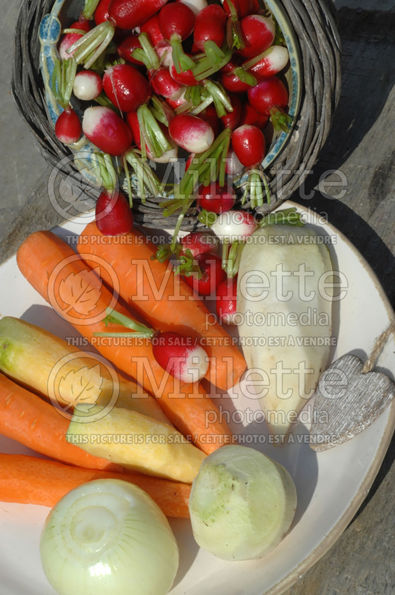 Mixed vegetables - Basket of bio (vegetables) 3