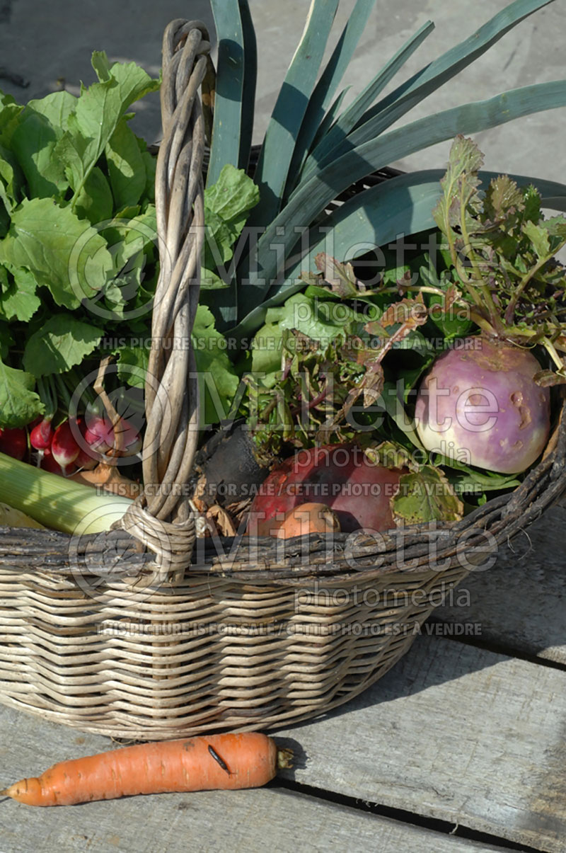 Basket of bio vegetables (Bio vegetables) 2