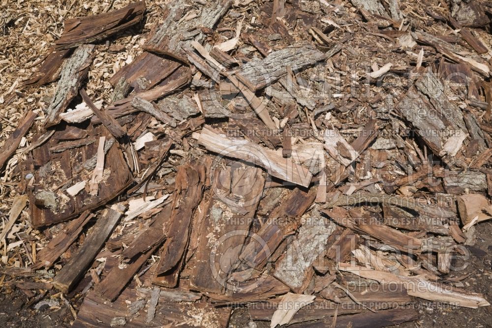 Pile of cut Cedrus - Cedar tree bark mulch and nuggets 1