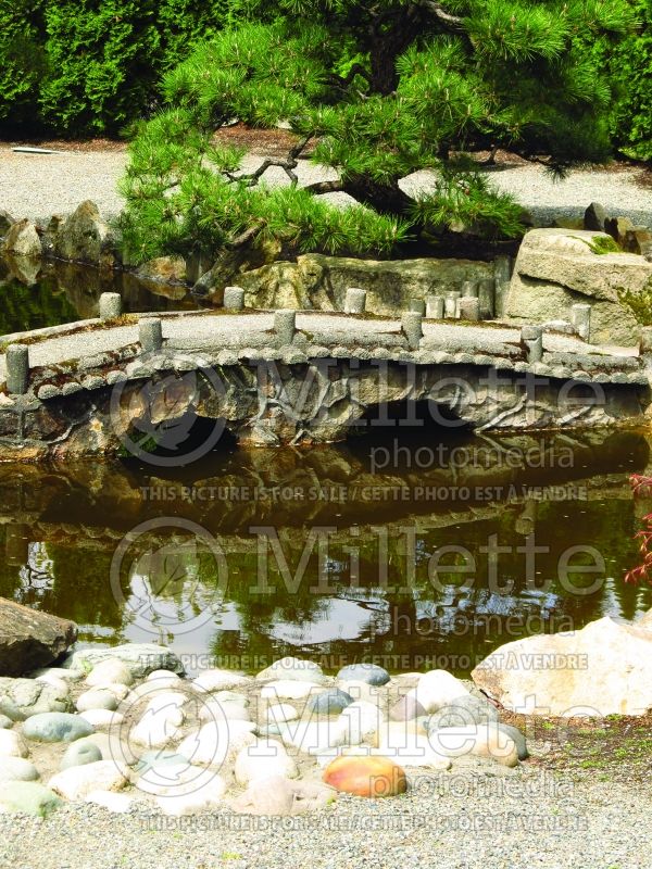 Reflection of a bridge in a pond - pond