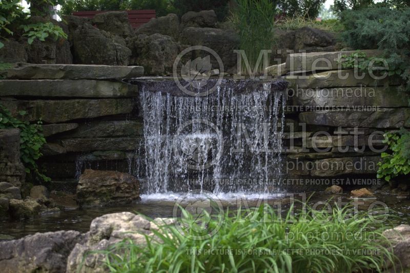 Pond with a cascade - pond 1