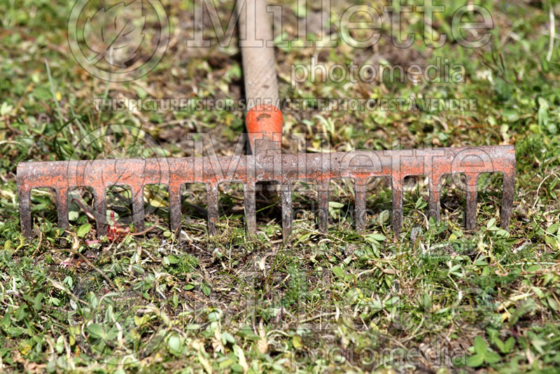 Hand-rakes for garden (Garden Tool) 2 