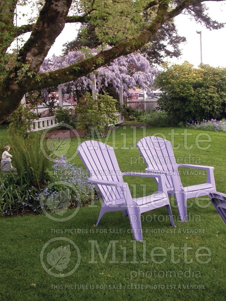 Provide a seating area in the garden - bench (Garden accents and garden designs) 26  