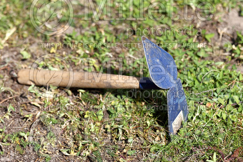 Cultivator / Hoe for garden (Garden Tool) 9 