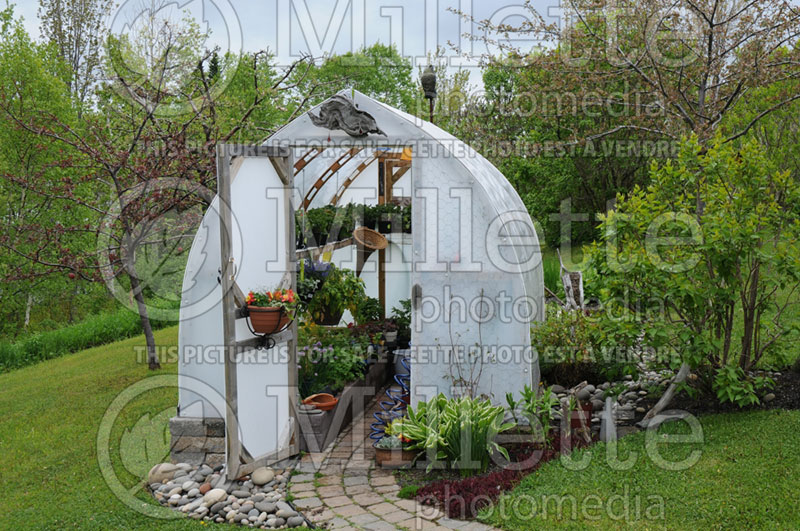 Domestic greenhouse (Garden equipment) 5 