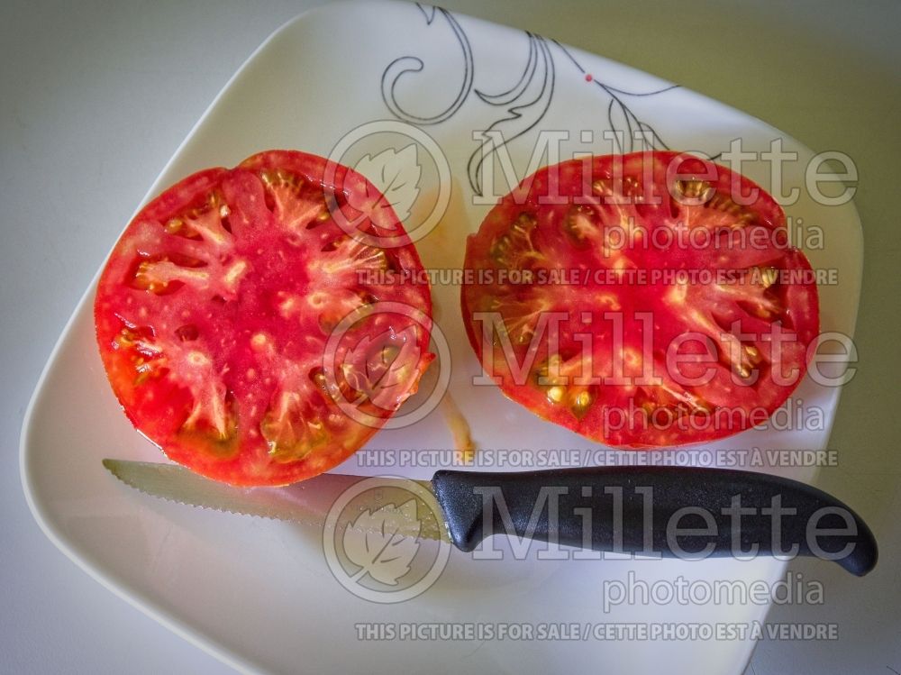 Solanum Aker's West Virginia (Tomato vegetable - tomate) 1