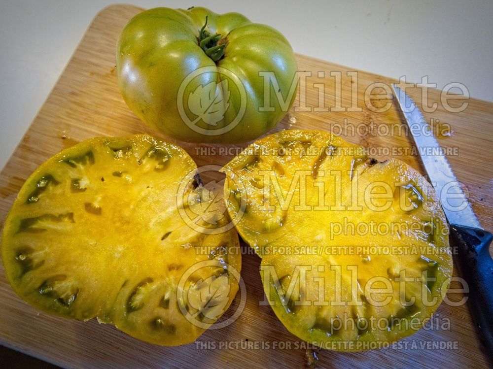 Solanum Uluru Ochre (Tomato vegetable - tomate) 1