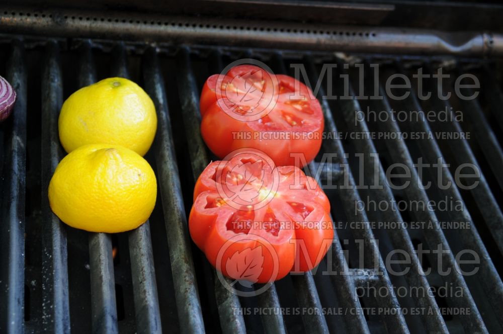 Solanum Oxheart aka coeur de boeuf aka reif red (Tomato vegetable - tomate) 1  