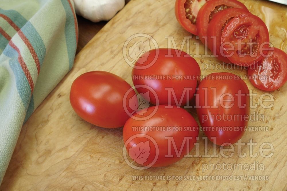 Solanum Roma (Plum Tomato vegetable - tomate) 6  