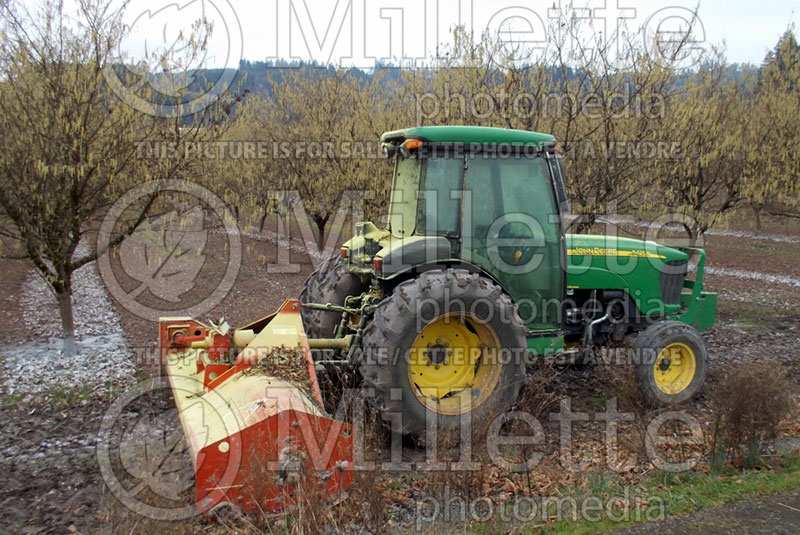 Tractor with rototiller - garden tool  1