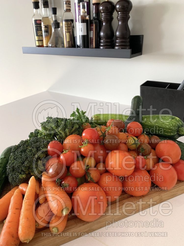 Vegetables on a kitchen counter (vegetables) 1