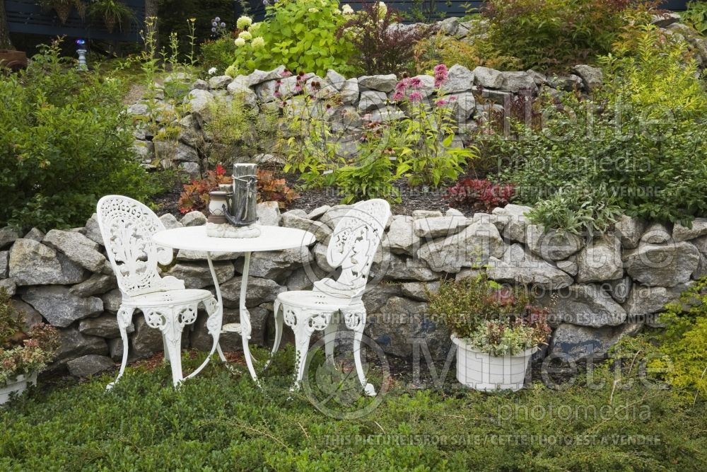 White cast iron metal Victorian sitting chairs and round table next to raised stone borders 1
