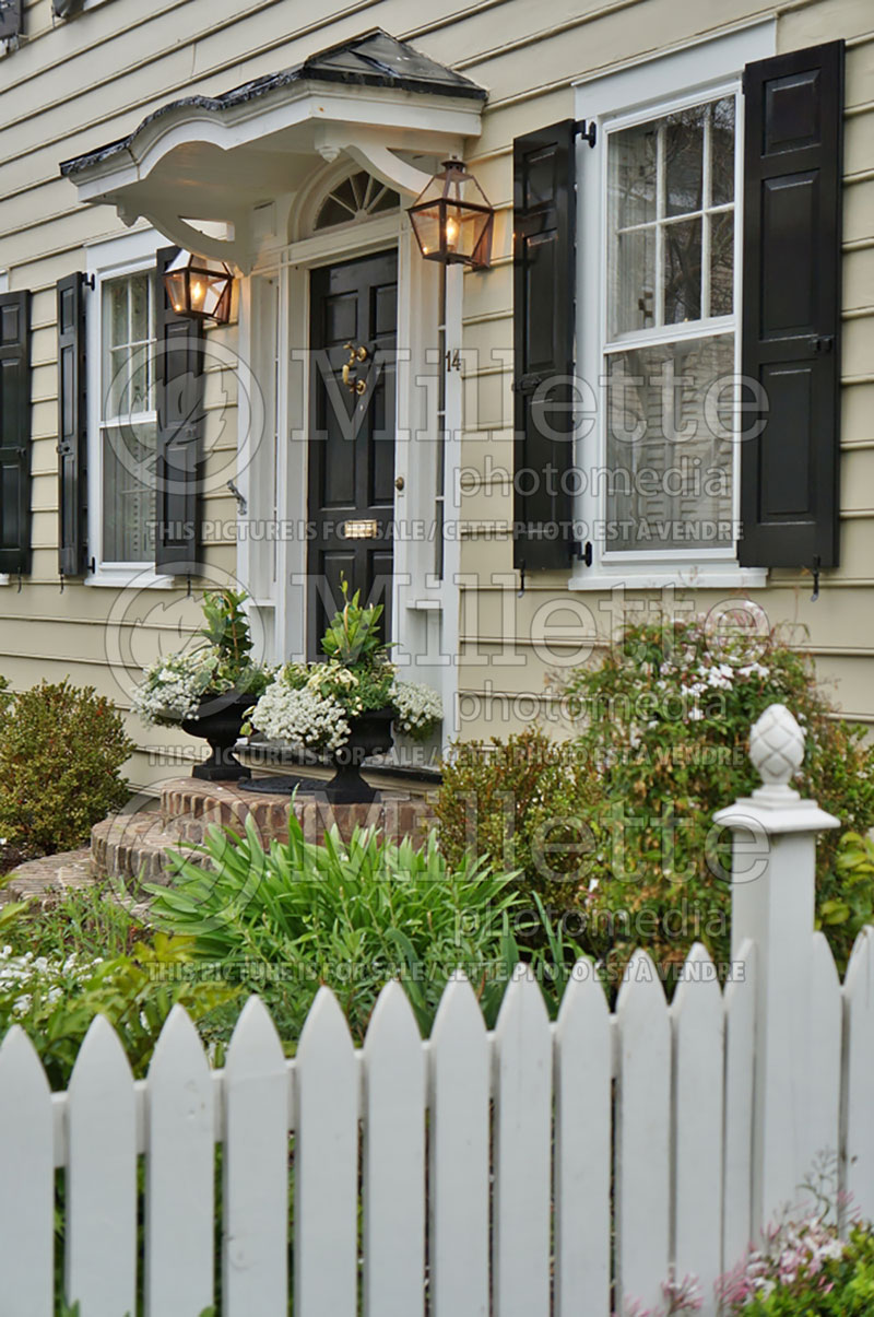 Landscaping with a white picket fence 1 