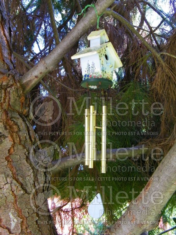 Wind chimes in a garden (Ornament) 1 